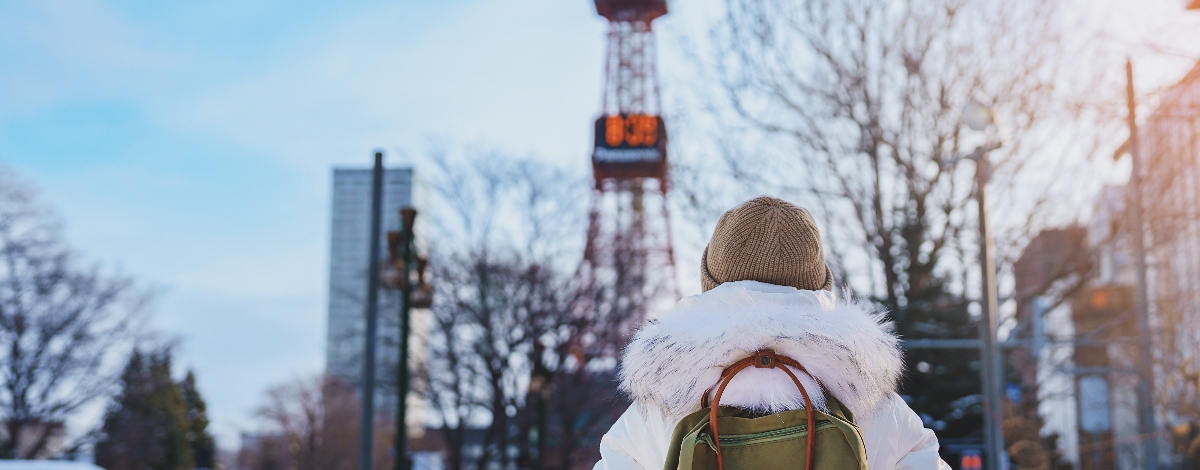 退房→市區藥妝百貨or北廣島 OUTLET逛逛買買→機場→台北(若想多停留北海道玩,需於開票前確認延長天數)